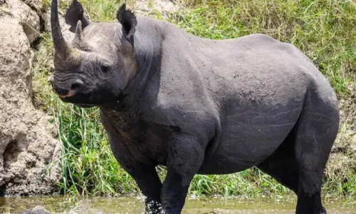 Outcome Bonds Course