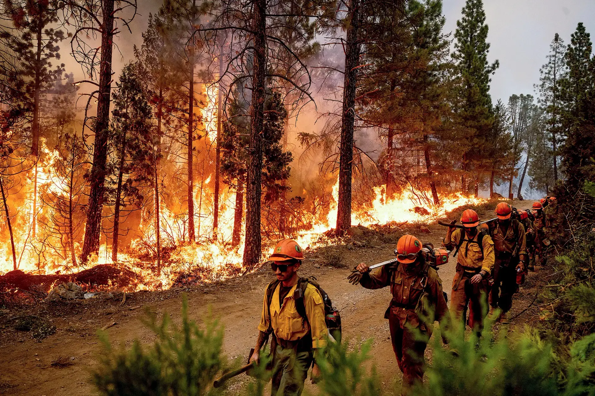 fireman walking near forest fires