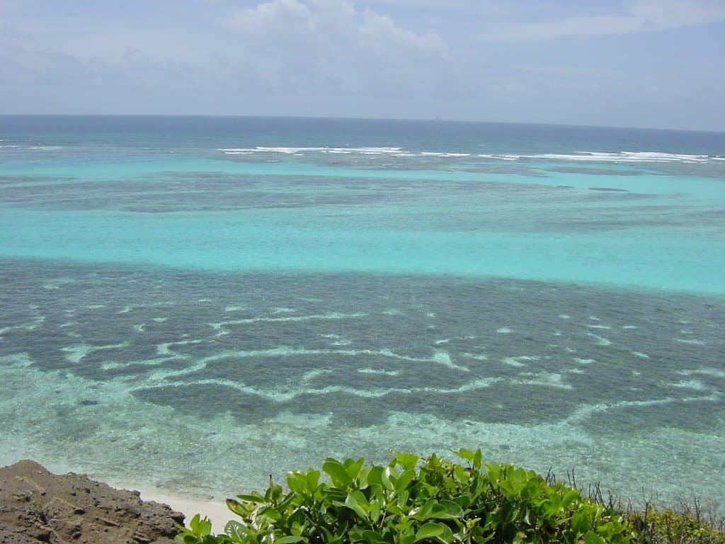 The Caribbean Biodiversity Fund: Safeguarding Ecosystems and Promoting Sustainable Finance