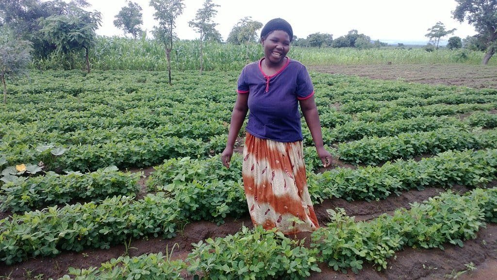 malawi woman farmer