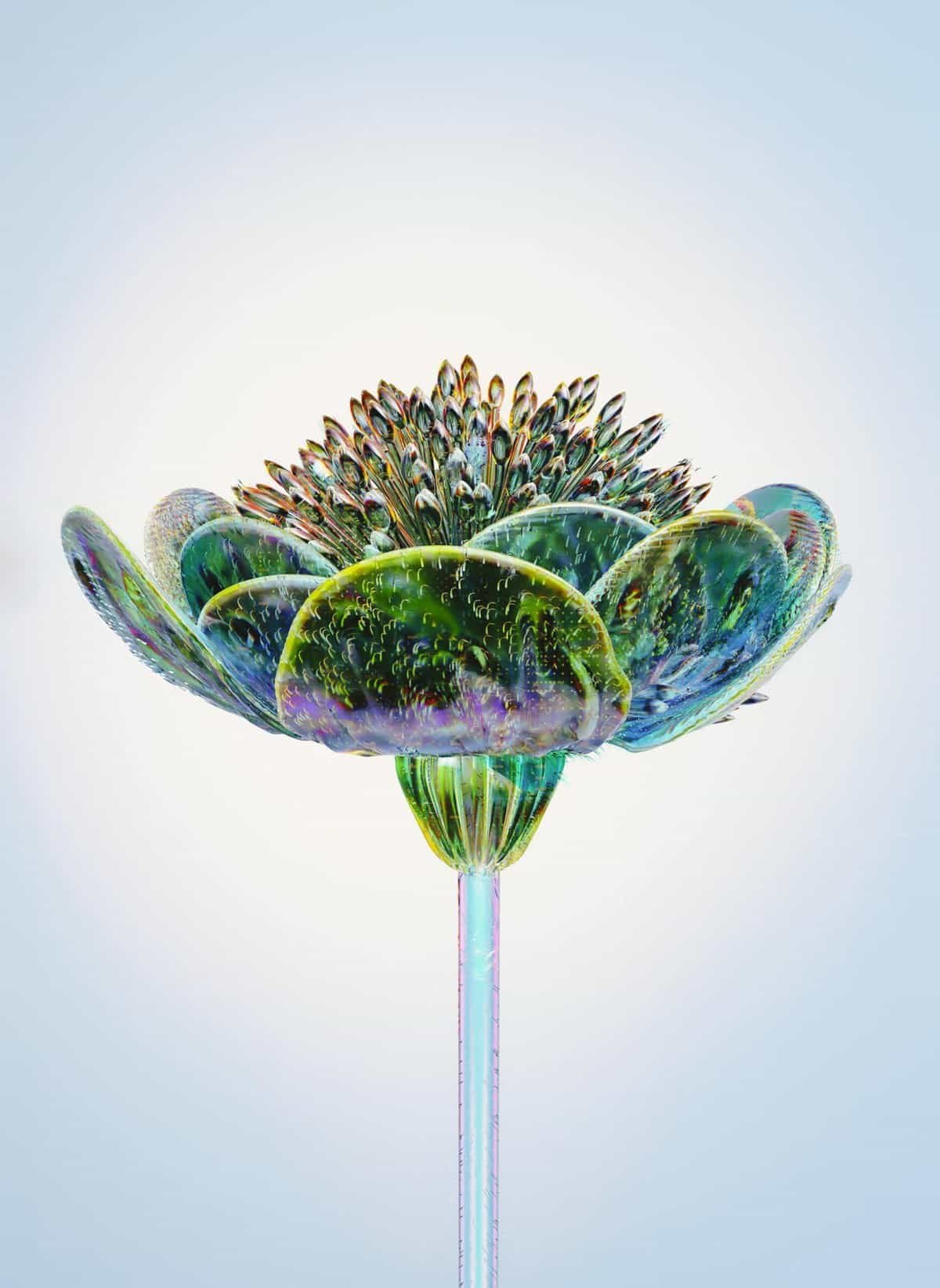 A stunning 3D glass-effect flower highlighting technology and abstract design.