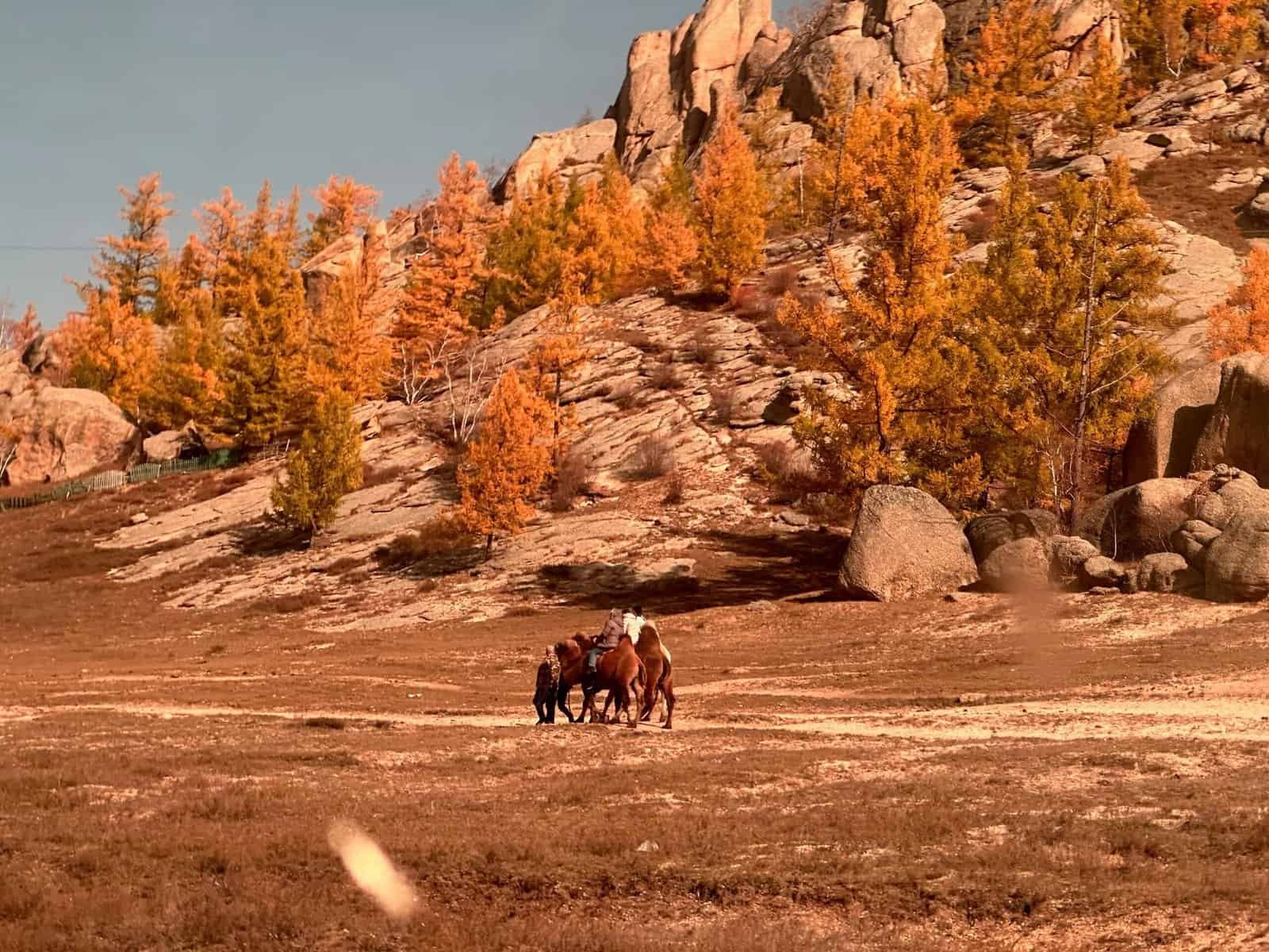 A scenic autumn view with horses and rider amidst rocky hills and trees in Ulaanbaatar, Mongolia.