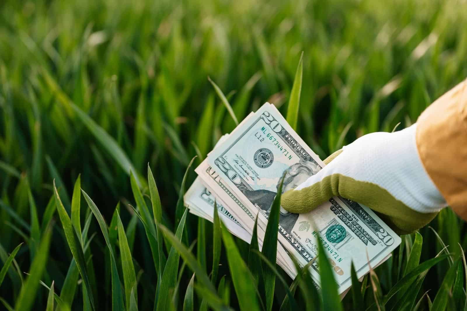 Crop faceless grower in garden gloves demonstrating heap of paper money with photo of unrecognizable person and numbers near growing lush grass